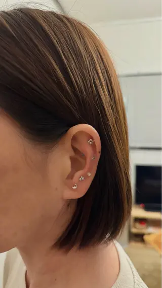 B.napus Nanohaのその他イメージ