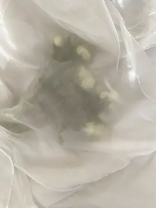 ネイル Allure あやののネイルデザイン