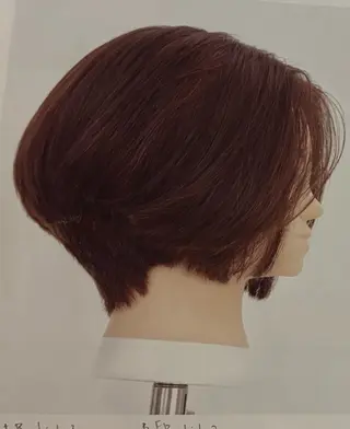 ショート 石井 乃映瑠のヘアスタイル