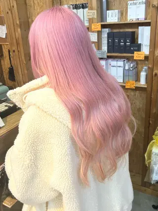 カラー 🌻ボブカット モデル募集中🪽のヘアスタイル