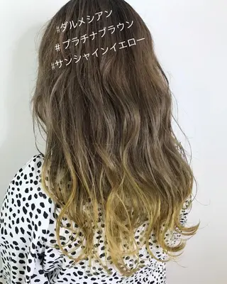 セミロング カラー ウルフカット レイヤーカット上柿のヘアスタイル