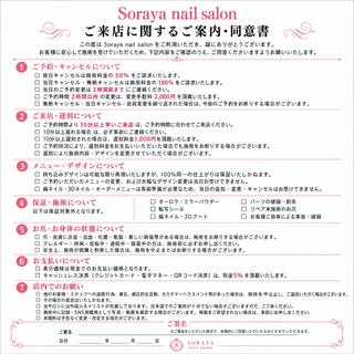 ネイル ソラヤネイルサロン ワンホン・手描きのネイルデザイン