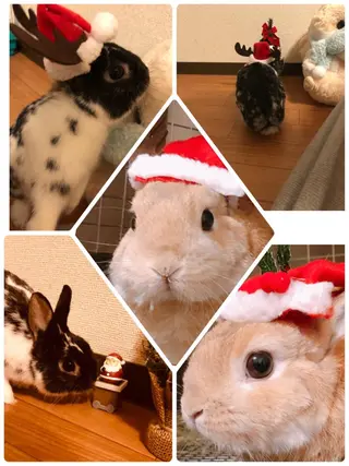 ❤️予約殺到❤️mi オールハンド痩身専門のエステ・リラクイメージ