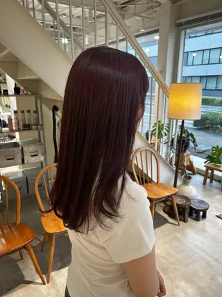 セミロング 篠原 若奈のヘアスタイル