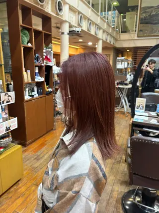 ミディアム ワンカラー/ブリーチ /ストレート友駕🤎のヘアスタイル
