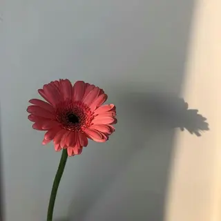 マツエク・マツパ アイブロウ ☺︎アイリスト 岡田    えりなのマツエク・マツパデザイン