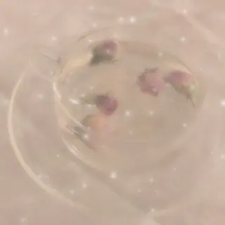 マツエク・マツパ 🍒Aya 🍒のマツエク・マツパデザイン