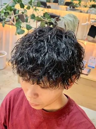 ショート パーマ メンズ 【扱いやすいパーマ】 眞鍋拓己のヘアスタイル