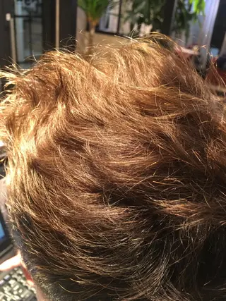 ショート カラー 土屋 ゆうこのヘアスタイル