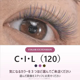 マツエク・マツパ ディアナ 日立多賀店舞木のマツエク・マツパデザイン