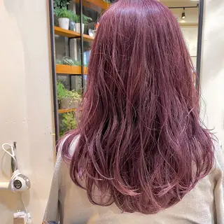 セミロング カラー ヘアアレンジ 【ダメージレス施術】 【透明感】北村 拓也のヘアスタイル