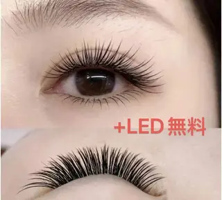 マツエク・マツパ Anny🦋マツエク 🌸ワンホン専門店のマツエク・マツパデザイン