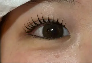 マツエク・マツパ Daisy Lash 土師のマツエク・マツパデザイン
