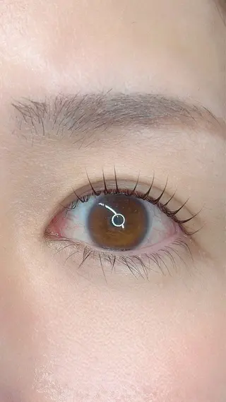 マツエク・マツパ RootsLumié 🫧YUKAの眉毛・アイブロウイメージ