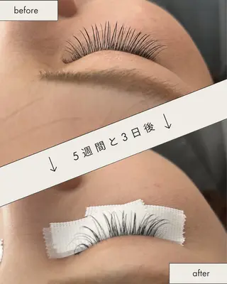 マツエク・マツパ eyelash BEVIのマツエク・マツパデザイン