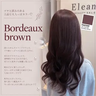 ロング 新宿/ダブルカラー/ 艶髪/彩乃のヘアスタイル