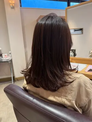 セミロング 津田 幹太のヘアスタイル