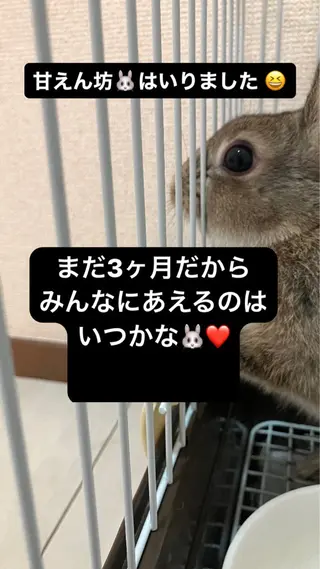 ❤️予約殺到❤️mi オールハンド痩身専門のエステ・リラクイメージ