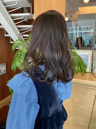 カラー 藤本豪海 モニターモデル募集のヘアスタイル