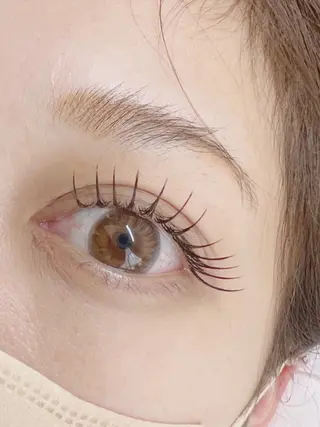 マツエク・マツパ Eyelash Hauoliの眉毛・アイブロウイメージ