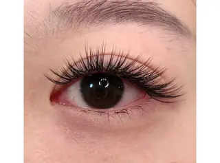 マツエク・マツパ APEX EYELASH上野店のマツエク・マツパデザイン