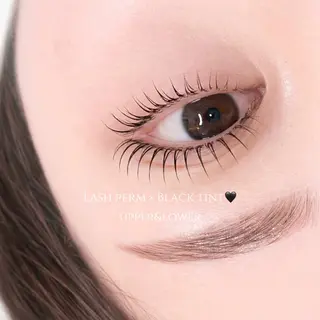 マツエク・マツパ THE BALM🥑 嶋田のマツエク・マツパデザイン