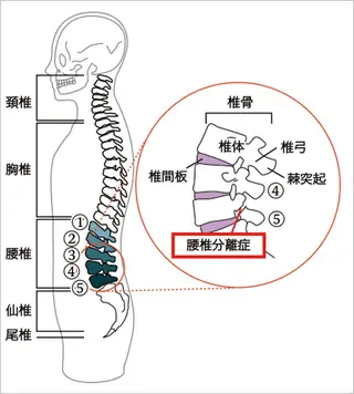 美整体サロン Regのエステ・リラクイメージ