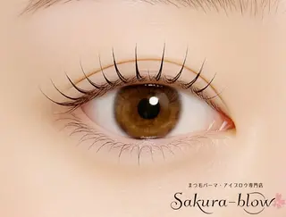 マツエク・マツパ Sakurablow 山田のマツエク・マツパデザイン