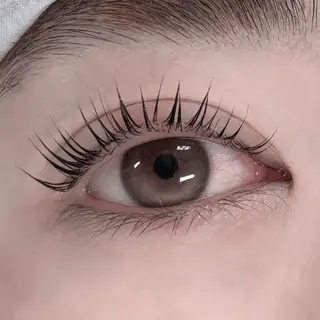 マツエク・マツパ Daisy Lash 今吉🍒🖤のマツエク・マツパデザイン