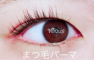 マツエク・マツパ eyelash catwinkのマツエク・マツパデザイン