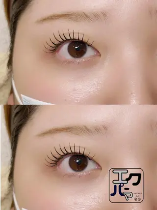 マツエク・マツパ Bunny eyes 武久のマツエク・マツパデザイン