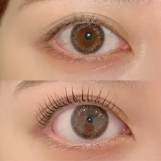 マツエク・マツパ ai一重専門🎀束感 まつげ🫧表参道の眉毛・アイブロウイメージ