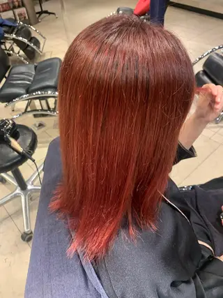 ミディアム 複雑履歴に対応ブリー チ無しダブルカラーのヘアスタイル