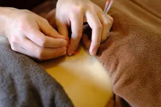 kenji yamamotoのその他イメージ