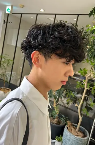 メンズ メンズ清潔感のプロ 💈メンズパーマ藤田のヘアスタイル
