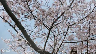 ❤️予約殺到❤️mi オールハンド痩身専門のエステ・リラクイメージ