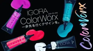 カラー spa hair ark 富井直美のヘアスタイル