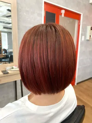 ミディアム ＳＨＩ ＺＵのヘアスタイル