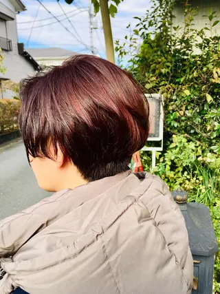 ショート 阿出川 雅也のヘアスタイル