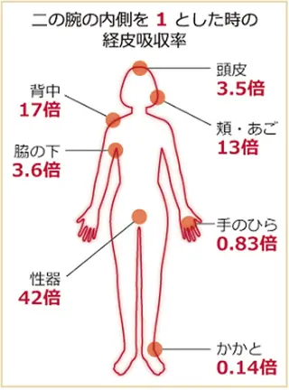 メンズ 黄土よもぎ蒸体質改善 サロンＭＡＮＡのエステ・リラクイメージ
