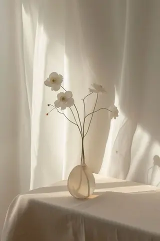 Bianca新所沢 Takahashiのマツエク・マツパデザイン