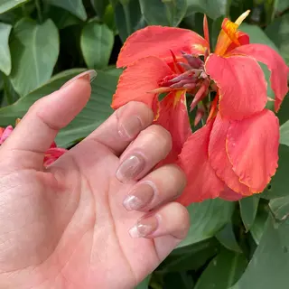 ネイル Nail salon Euphoriaのネイルデザイン