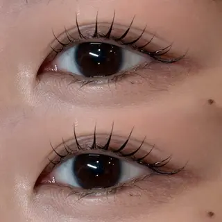 マツエク・マツパ アンドヘルシー/束感 /LED🩶MIYUのマツエク・マツパデザイン