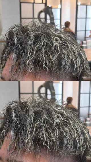 ミディアム メンズ メンズハイライト 💫TAISEI💫のヘアスタイル