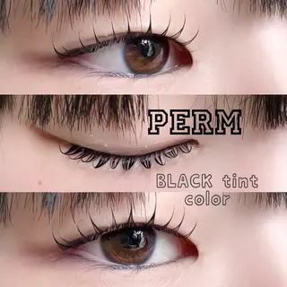 マツエク・マツパ LASH muse .のマツエク・マツパデザイン