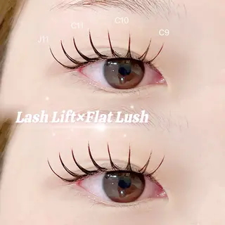 マツエク・マツパ まつ毛エクステモデル SHOKO🎀の眉毛・アイブロウイメージ