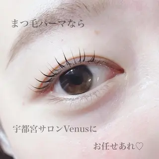 マツエク・マツパ eyelash catwinkのマツエク・マツパデザイン