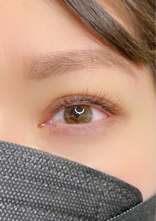 マツエク・マツパ 無料モデル募集中 Ann Mossのマツエク・マツパデザイン