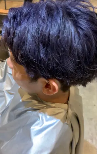ショート 複雑履歴に対応ブリー チ無しダブルカラーのヘアスタイル