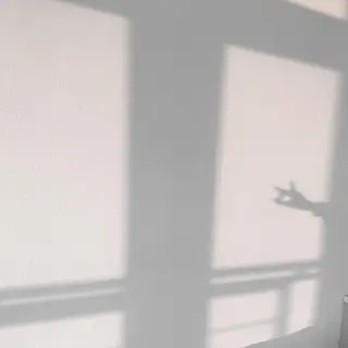 MOE *の眉毛・アイブロウイメージ